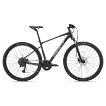 Giant Roam 2