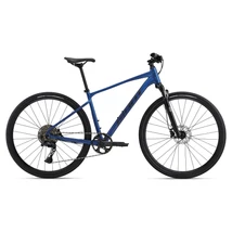 Giant Roam 1