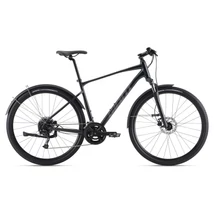 GIANT Roam EX Charcoal