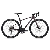Liv Devote 1 2024