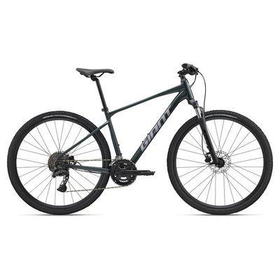 Giant Roam 2