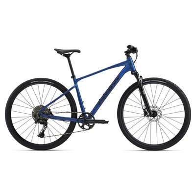 Giant Roam 1